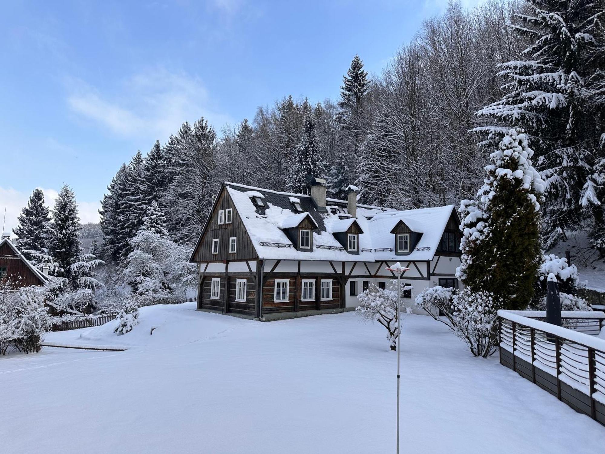 Forest View Villa *